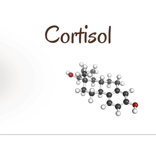 Cortisol Cortisol