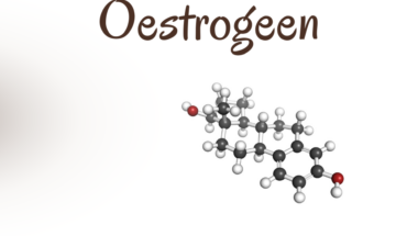 Oestrogeen uit balans? Ontdek hoe je een oestrogeendominantie of oestrogeentekort op natuurlijke wijze kunt herstellen.