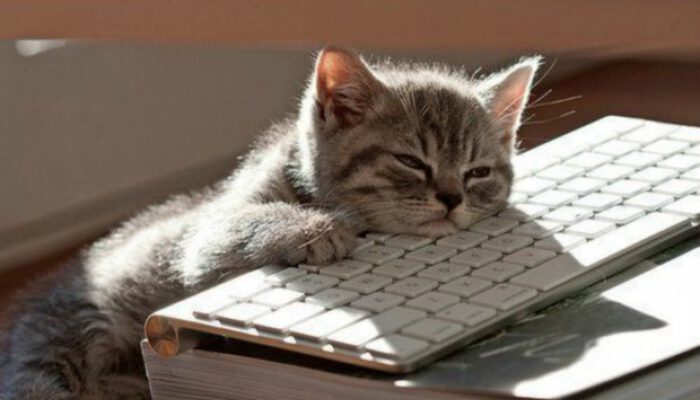 bijnieruitputting bijnieruitputting